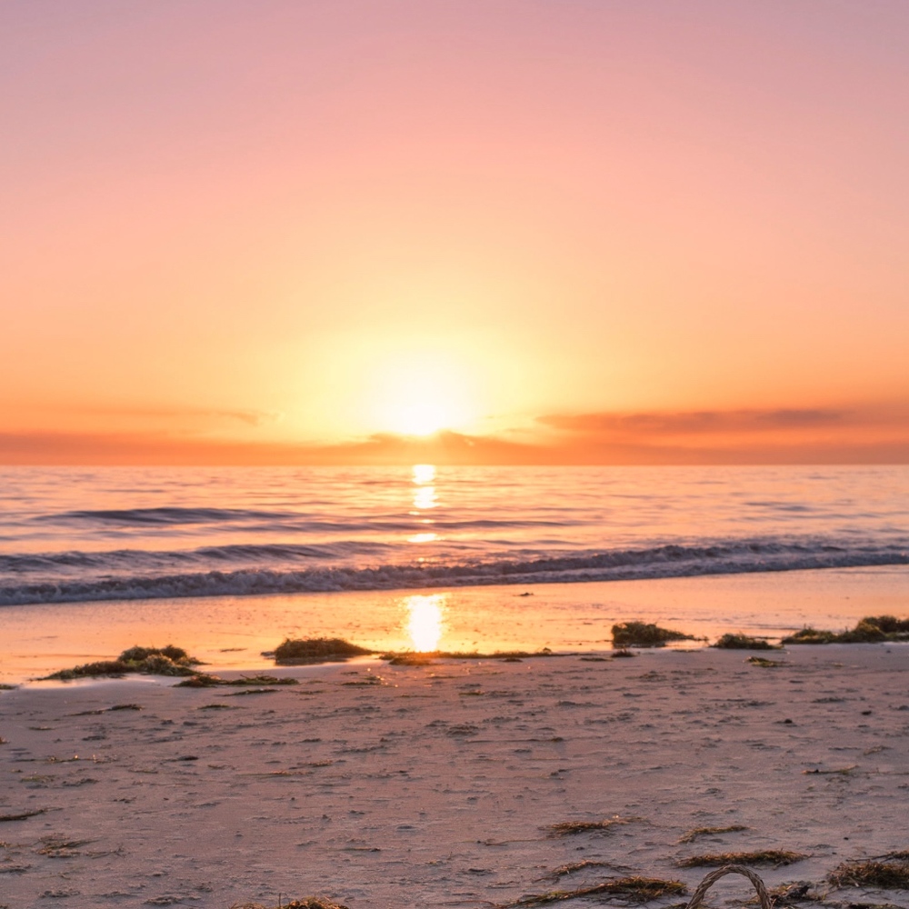 Meet your Posher, Annie